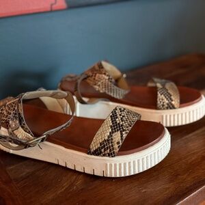 MIA Snake Skin Sandals